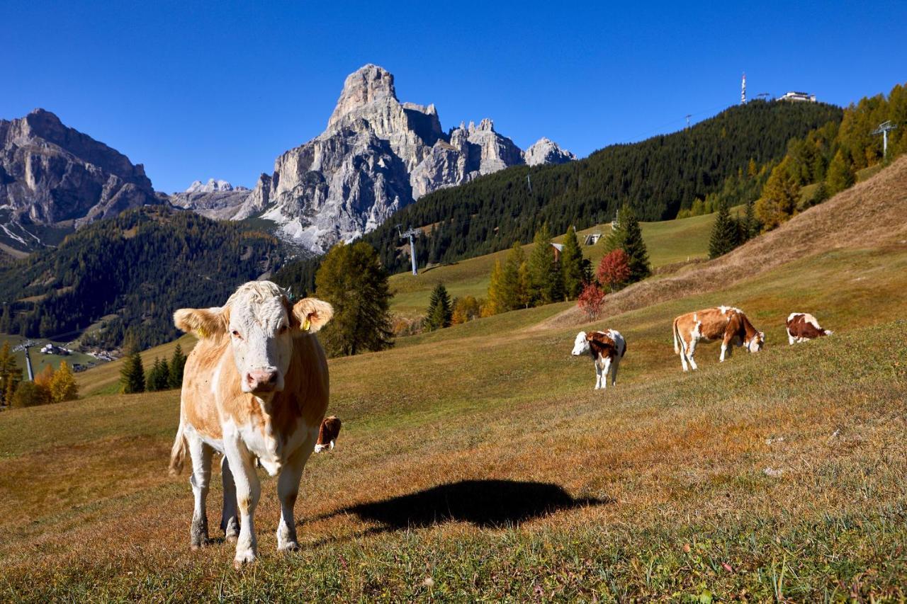 Pension Angelo Corvara In Badia Esterno foto